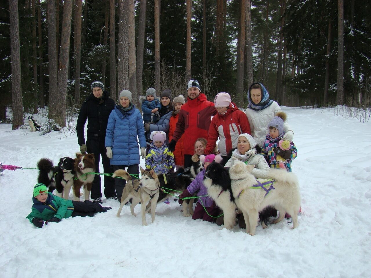 Клуб ездовых собак 